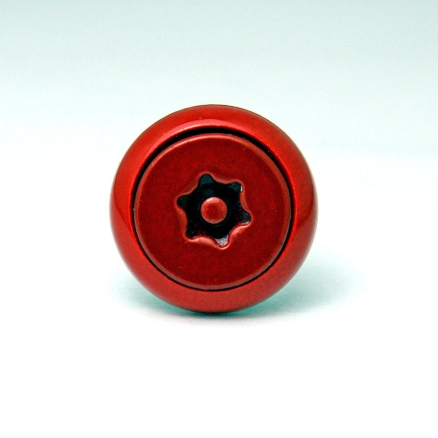 ナンバープレート用ボルト ピン・トルクスサラ ステンレス(レッド) 4本