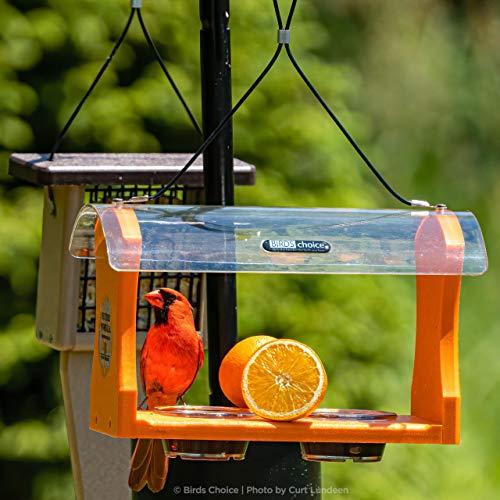 【売り切りお値下げ】 バードチョイス2アームトッパーバードフィーダーポールセットリスバッフル付 【C6844409758】(24538円)