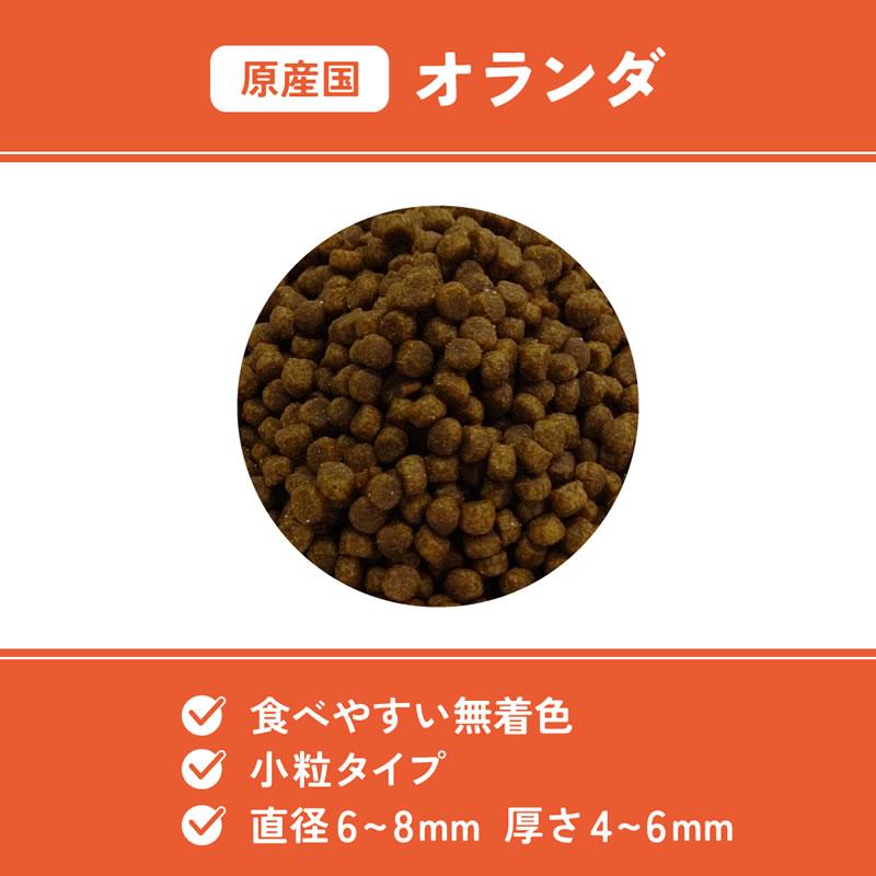 マルカン ベッツウェル 猫用 食事療法食 腎臓ケア 500g キャットフード