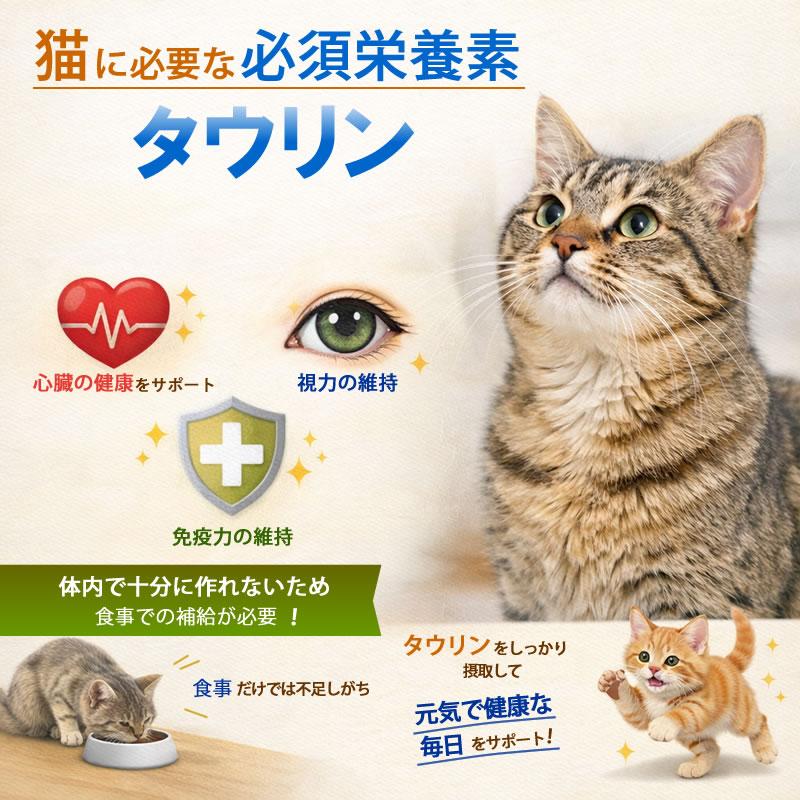 スピリッタ 15.3g 猫 サプリメント タウリン ネコポス可能 : ねこば