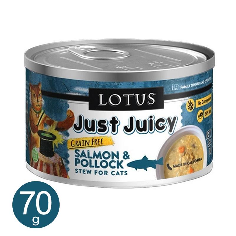 LOTUS 猫 ウェットフード For Cat PATE 缶詰 36缶セット 【公式通販】