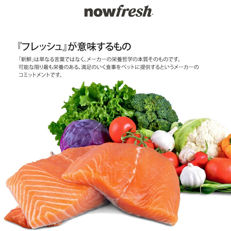 NOW FRESH ナウフレッシュ 猫 グレインフリー フィッシュ アダルト