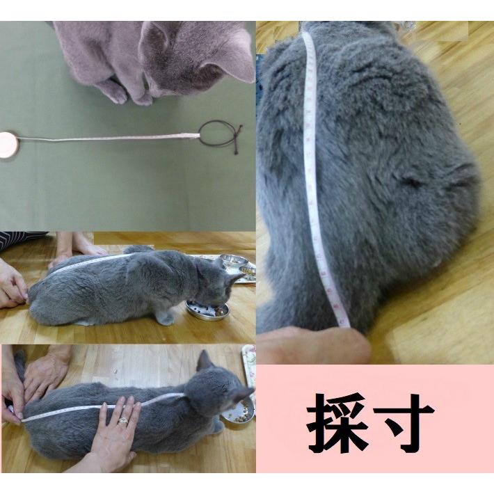 保定袋 猫袋 XL 6本 ファスナー PLUS うちの子スペシャル 輸液 保定袋 猫袋 XL 6本 ファスナー PLUS うちの子スペシャル 輸液