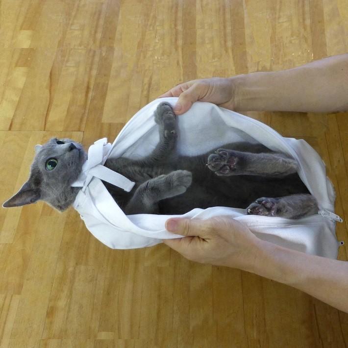 猫保定(ペット用品、生き物)の商品一覧 通販 - Yahoo!ショッピング 猫保定(ペット用品、生き物)の商品一覧 通販 - Yahoo!ショッピング
