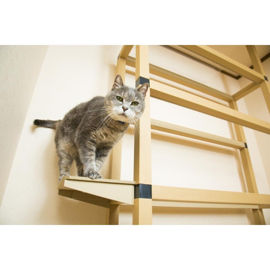 サイドステップ ニャンダフルシェルフ オプション品 ／ 猫用 ECO おしゃれデザイン 日本製 |  | 03