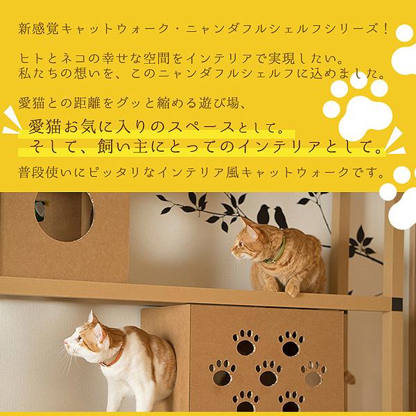 4点セット（シェルフミニ・専用BOX2個・アクリルボード・サイド 