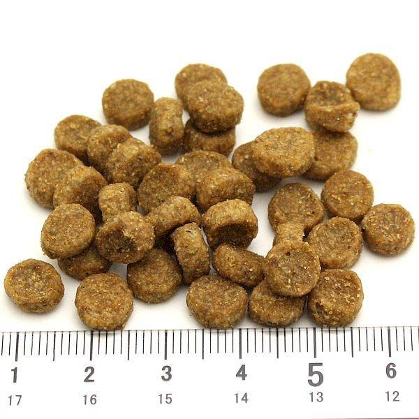 最短賞味2025.2.3・アーテミス 犬 アガリクスI S 小粒 1kg 全年齢犬用ドッグフードARTEMIS正規品ar66451｜nekokin｜02