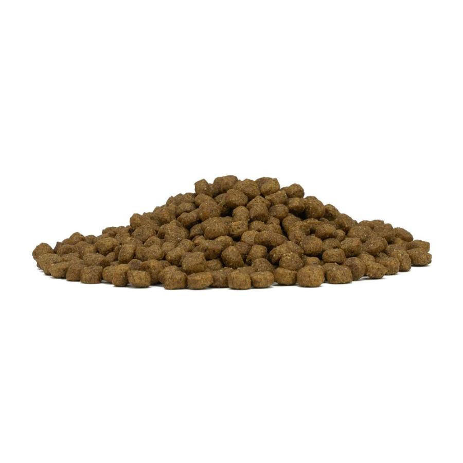 SALE/おまけ付き！最短賞味2027.1・フォルツァ10 犬 デイリープロ ミディアム ホース中粒12kg×３個/fo14069x3成犬用ドッグフード正規品