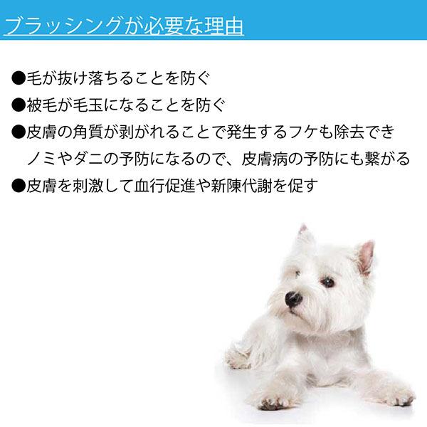 ローレンス ソフトスリッカーブラシ 超小型犬用 Ss イギリス製 抜け毛除去用品lawrence正規品law Law 猫ときんときヤフー店 通販 Yahoo ショッピング