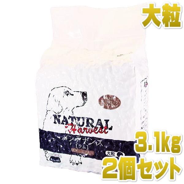 最短賞味2026.2・ナチュラルハーベスト メンテナンス 大粒 3.1kg×2袋成犬シニア犬対応ドライフード Natural Harvest 正規品 nh06472s2