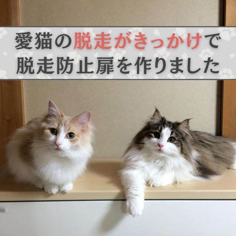 ねこ専用脱走防止扉【にゃんがーど】親子扉ver. 穴あけ不要の ねこ専用脱走防止扉【にゃんがーど】親子扉ver. 穴あけ不要の