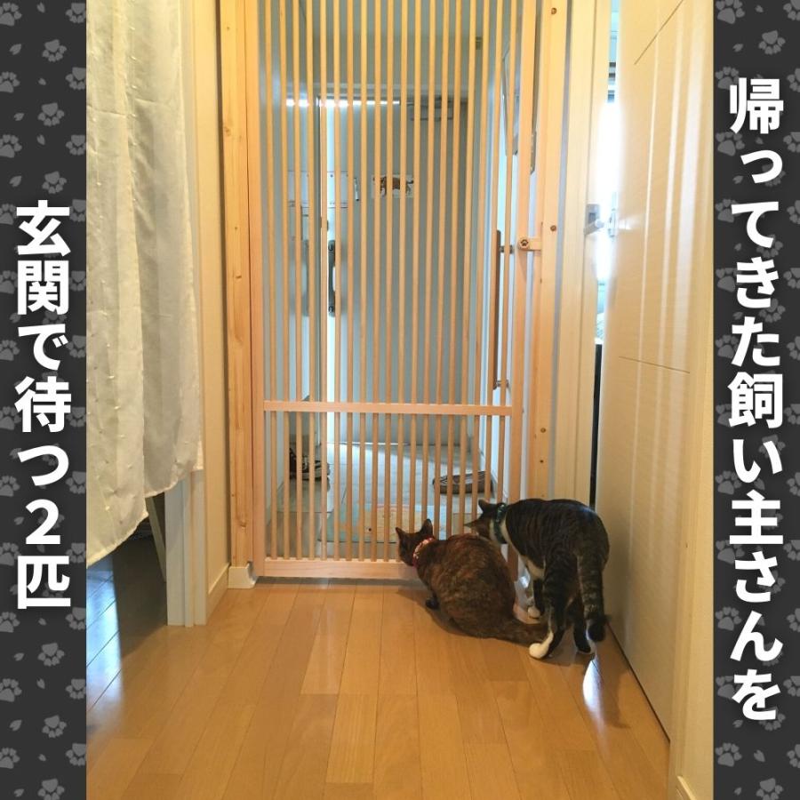 ねこ専用脱走防止扉【にゃんがーど】穴あけ不要の突っ張りタイプ ねこ専用脱走防止扉【にゃんがーど】穴あけ不要の突っ張りタイプ