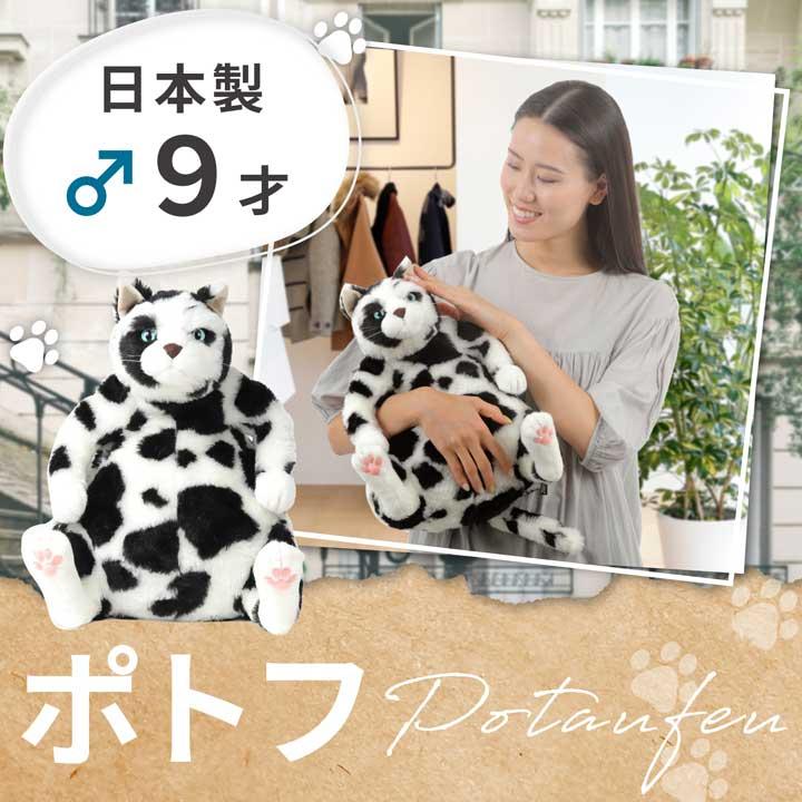 カドリー　猫　ポトフ 楽天市場】【ぬいぐるみ】【送料無料】Cuddly (カドリー