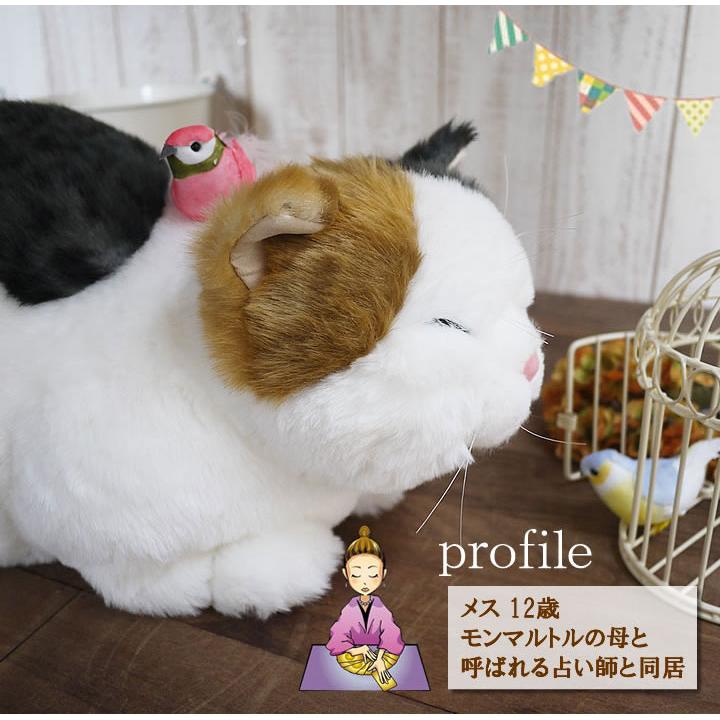 三毛猫ぬいぐるみマリア（12歳）高級猫ぬいぐるみブランド Cuddly（カドリー マリア Maria 猫のぬいぐるみ 三毛猫 – Cuddly公式オンライン
