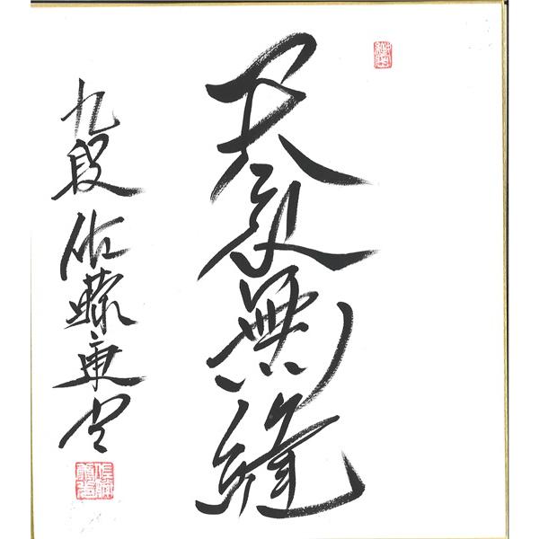 棋士直筆色紙】佐藤康光九段 将棋 棋士 色紙 : 将棋ねこまどShop
