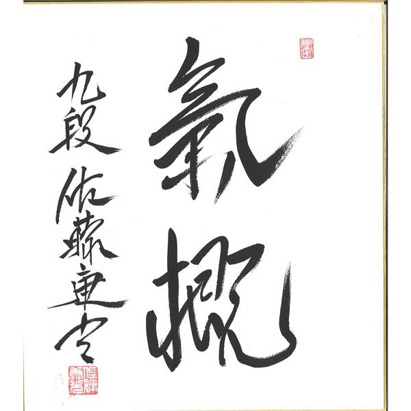 棋士直筆色紙】佐藤康光九段 将棋 棋士 色紙 : 将棋ねこまどShop
