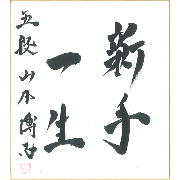 棋士直筆色紙】山本博志五段 将棋 色紙 : 将棋ねこまどShop - 通販