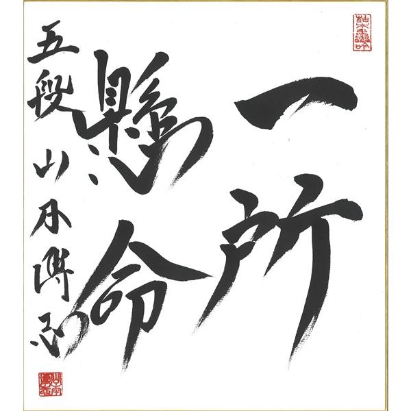 棋士直筆色紙】山本博志五段 将棋 色紙 : 将棋ねこまどShop - 通販