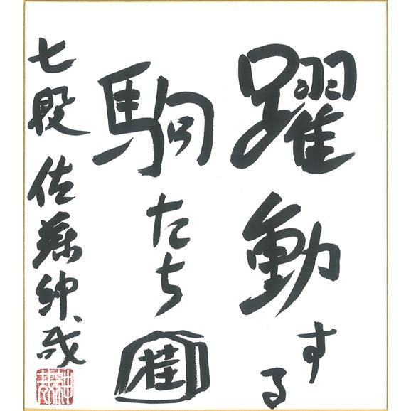 棋士直筆色紙】佐藤紳哉七段 将棋 色紙 : 将棋ねこまどShop