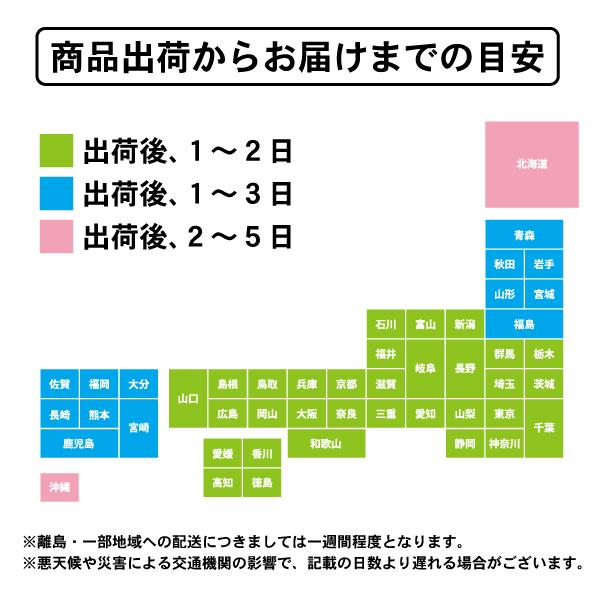 【5本セット】20ml TERUMO テルモシリンジ 横口 針なし 注射器 猫用犬用に使える SS-20ESZ|nekonari|10