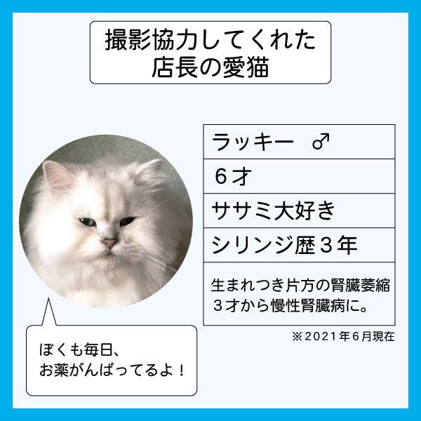 【5本セット】20ml TERUMO テルモシリンジ 横口 針なし 注射器 猫用犬用に使える SS-20ESZ|nekonari|07