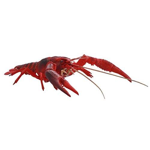 フジミ模型 自由研究シリーズ No 24 いきもの編 アメリカザリガニ レッド ノンスケール 色分け済み プラモデル 自由研究24 20200318011110 01158 ねこねこ商店 通販 Yahoo ショッピング