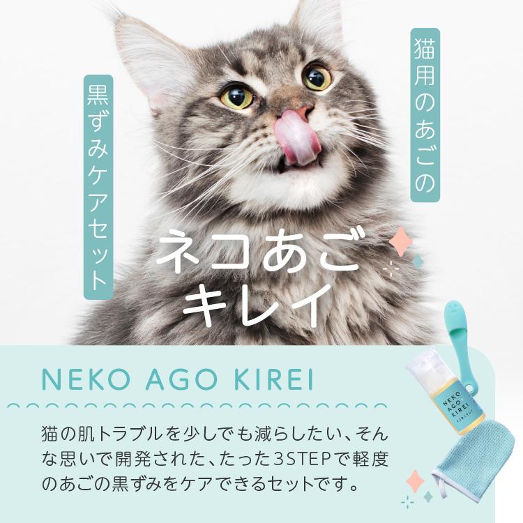 ネコ好き様洗顔 ネコ好き様洗顔 makeup