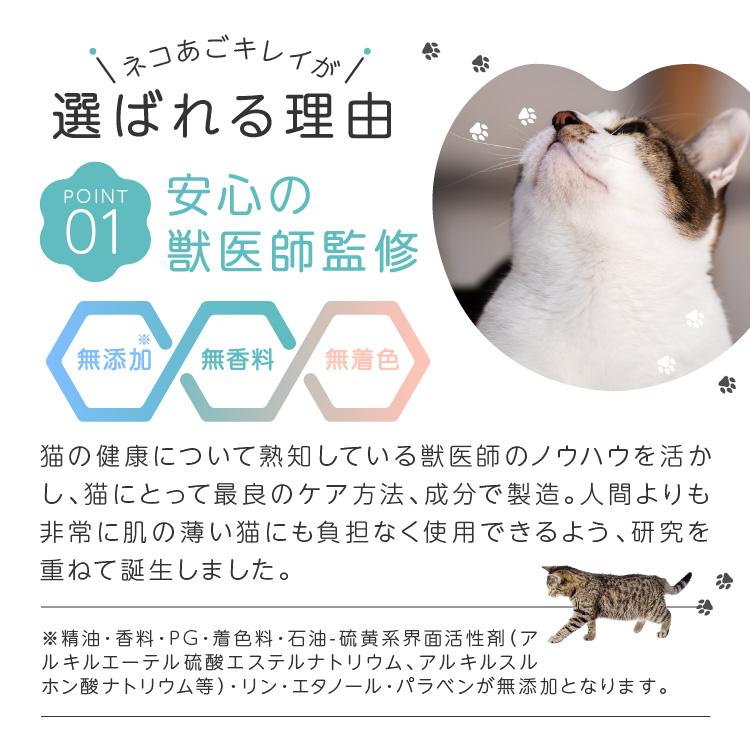 ネコ好き様洗顔 ネコ好き様洗顔 makeup