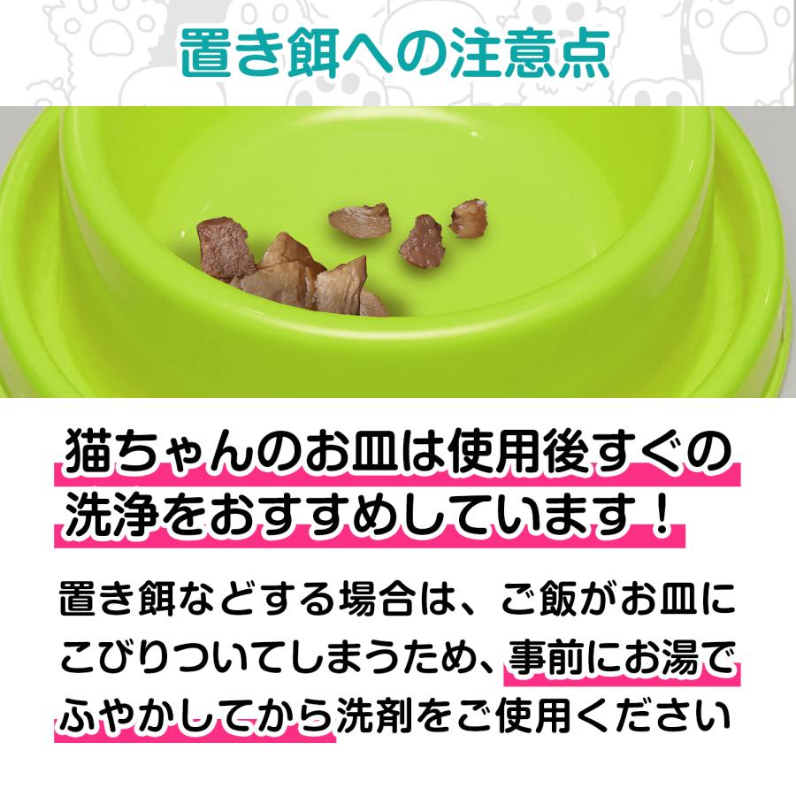 獣医師監修 ネコ皿キレイ なめても安心成分 猫用食器洗剤 食器洗剤 猫