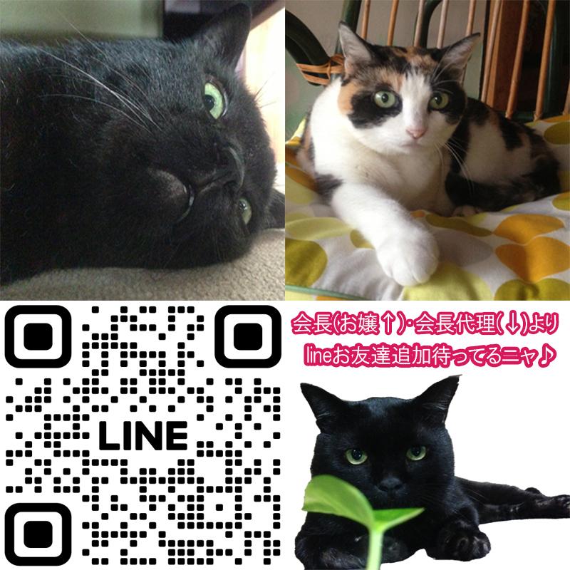 カーペット 絨毯 猫グッズ ラグマット 230×160 猫柄 じゅうたん フロア