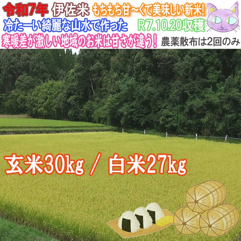 ヒノヒカリ 令和7年新米 米30kg 米 伊佐米 お米 30kg 新米 30kg 令和7