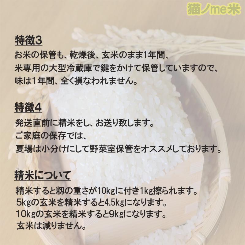 令和7年度　ヒノリカリ　30kg⑦年内はこれで締め切ります。 ヒノヒカリ 令和7年新米 米30kg 米 伊佐米 お米 30kg 新米 30kg 令和7