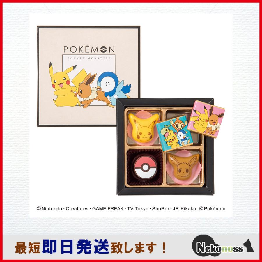 専用紙袋付き ポケットモンスター ポケモン PV-1 S チョコ