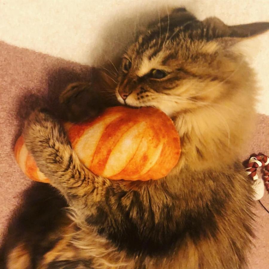猫 おもちゃ 一人遊び ネコ用ぬいぐるみ 猫用ぬいぐるみ パン ねこ ぬいぐるみ リアル 猫のおもちゃ セット 2個 おしゃれ プレゼント ギフト  またたび 猫の友社 |  | 07