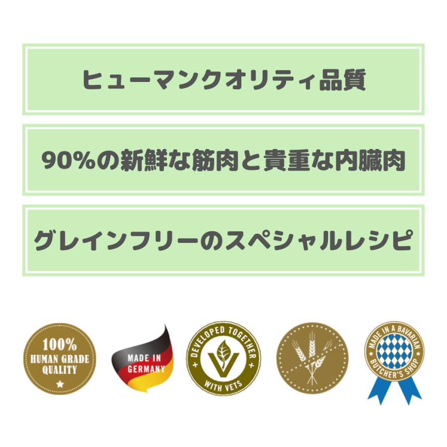 Terra Felis（テラフェリス） 猫用 ウェットフード コンプリート食