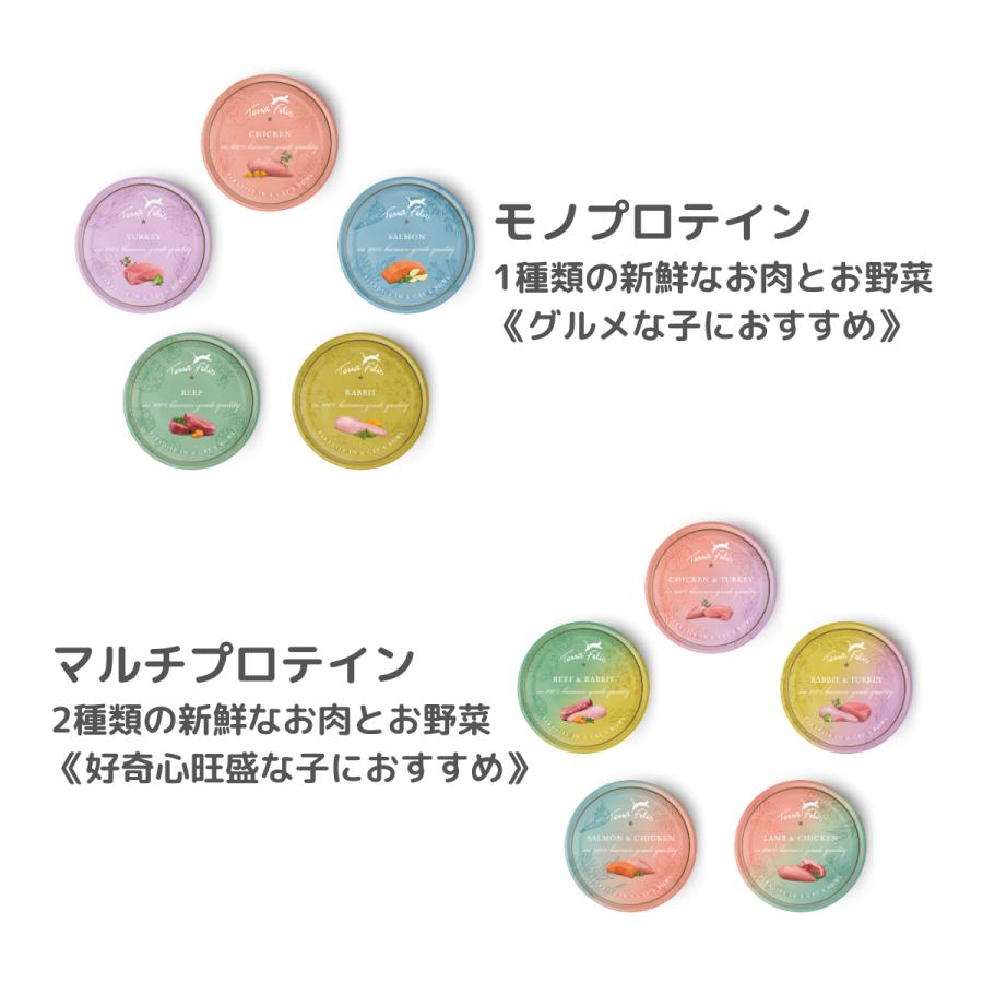Terra Felis（テラフェリス） 猫用 ウェットフード コンプリート食