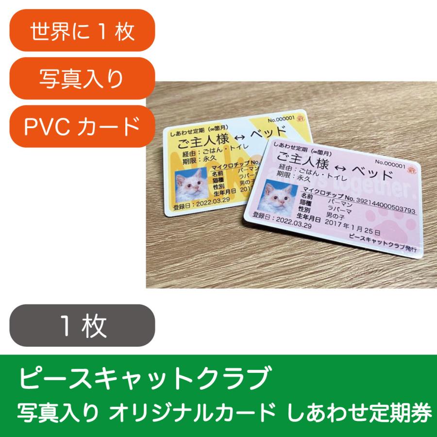 オリジナルカード  写真入りピースキャットクラブ しあわせ定期券 | 