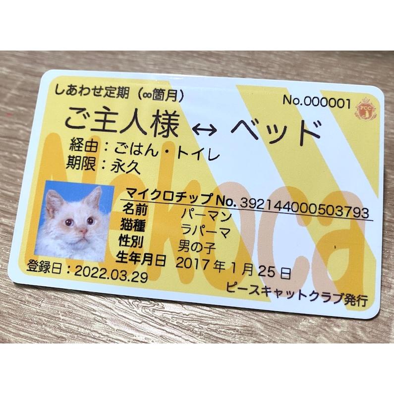 オリジナルカード  写真入りピースキャットクラブ しあわせ定期券 |  | 01