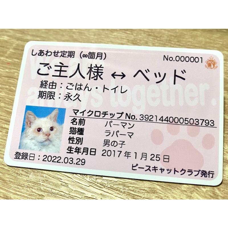 オリジナルカード  写真入りピースキャットクラブ しあわせ定期券 |  | 02