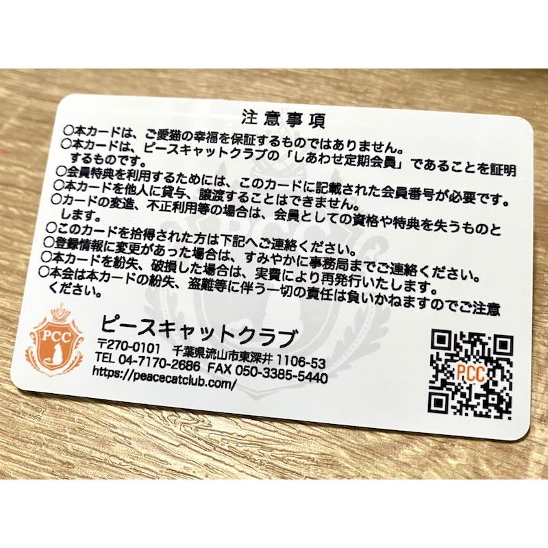 オリジナルカード  写真入りピースキャットクラブ しあわせ定期券 |  | 04