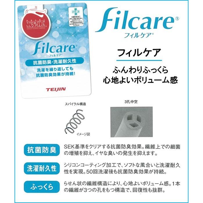 掛け布団 キング テイジン フィルケア 抗菌 防臭 洗える 掛布団 日本製 掛け布団 キング 日本製 洗える中綿 テイジン繊維 No.3 : 寝ころん太