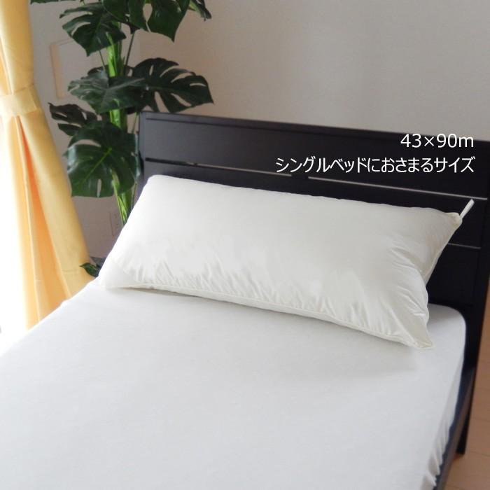 ロング枕 洗える ダクロン ロングまくら 43×90cm 日本製 dacron(R) FRESH 軽くてふっくら弾力＆かさ高 インビスタ社 高め枕 抱き枕 14便 AMP0005T |  | 01