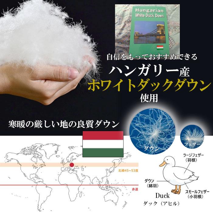 増量1.3kg ゴア羽毛布団 シングルロング 150×210 日本製 エクセル 