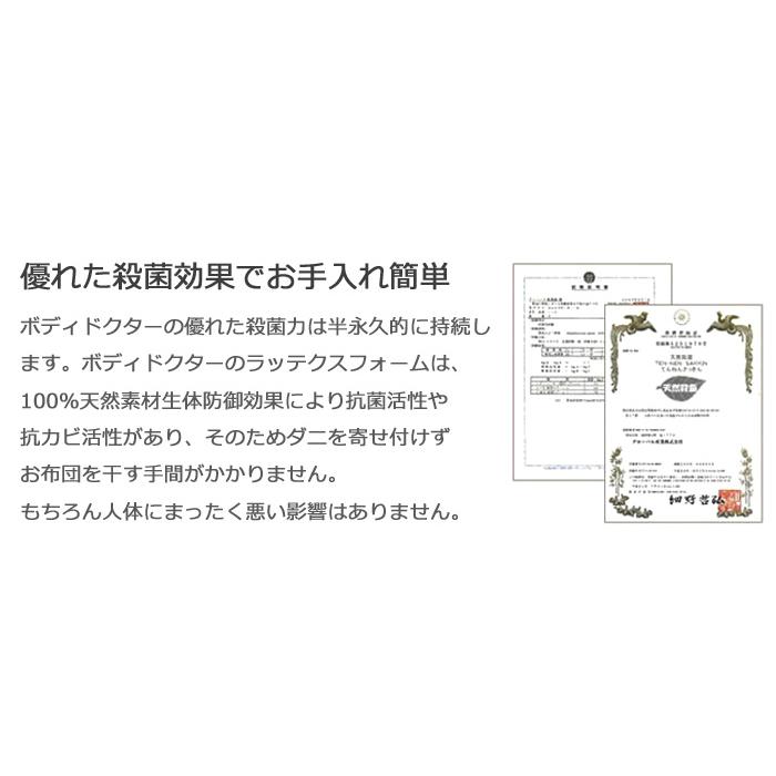 ボディドクターA アドヴァンス ダブル マットレスの画像