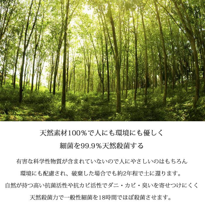 ボディドクターA アドヴァンス セミダブル マットレスの画像