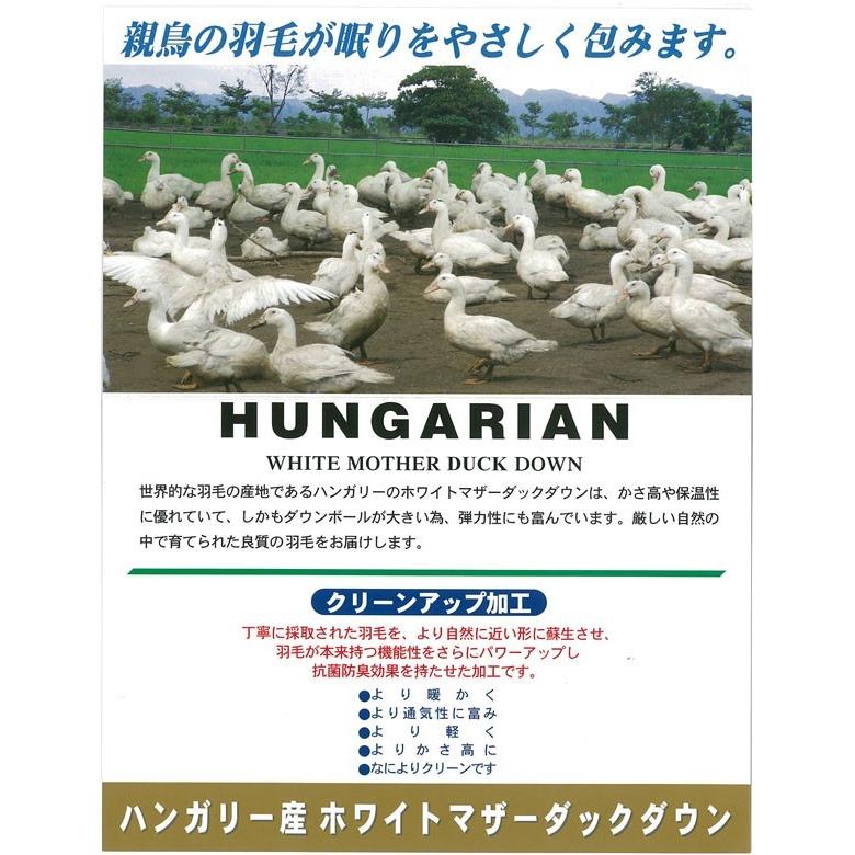 鳥毛布団 合い掛け 鳥毛ふとん 日本製 虚蝉ダブル  ハンガリー共和国産御母さん落ち込む93％ ロイヤルゴールド