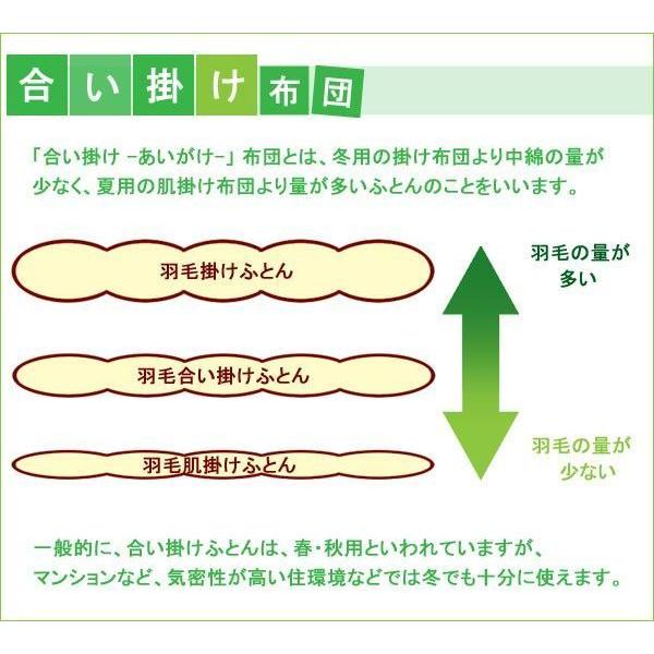 鳥毛布団 合い掛け 鳥毛ふとん 日本製 虚蝉ダブル  ハンガリー共和国産御母さん落ち込む93％ ロイヤルゴールド