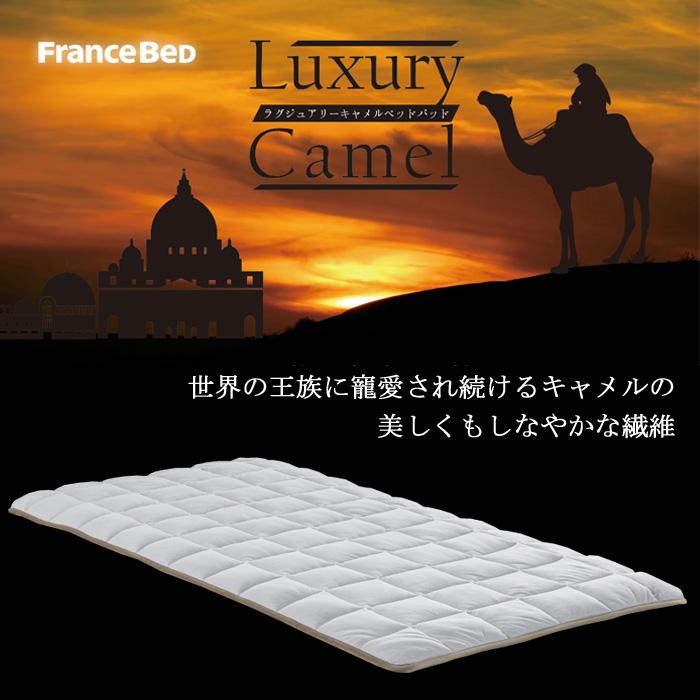 フランスベッド（FRANCEBED） らくピタ ラグジュアリーキャメルベッド