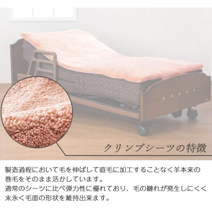 フランスベッド（FRANCEBED） ベッド専用ムートン ムートンシーツ FBBS