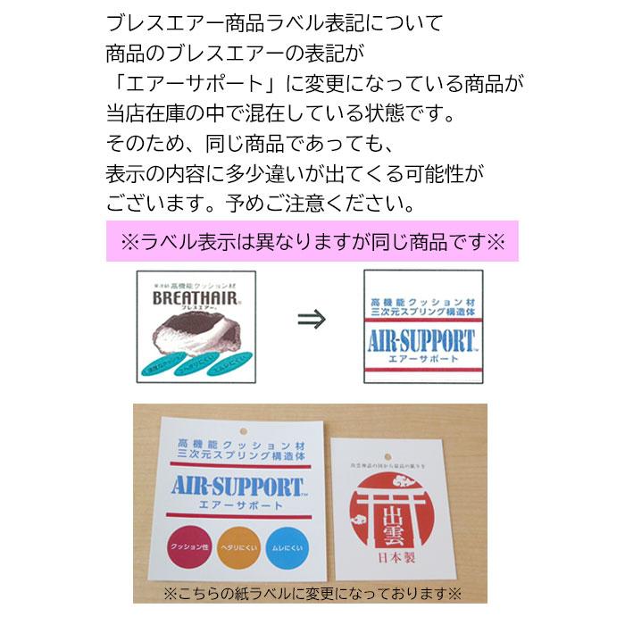 ごろ寝敷き布団 70×120×5cm ブレスエアー オールシーズン 芯まで洗える